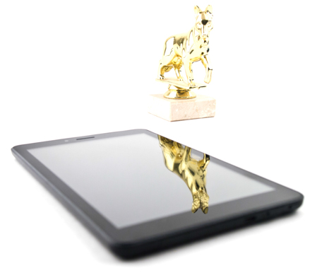 449x386  57 KB. Big one: 1499x1288  475 KB