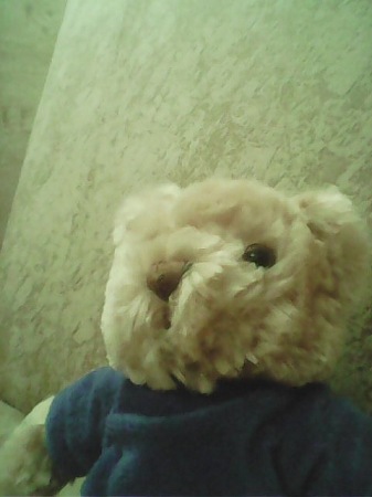 337x450  33 KB. Big one: 480x640  44 KB