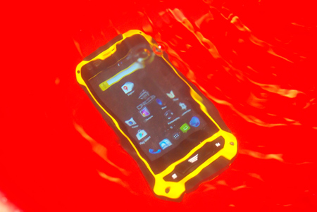 450x301  63 KB. Big one: 1494x1000  412 KB