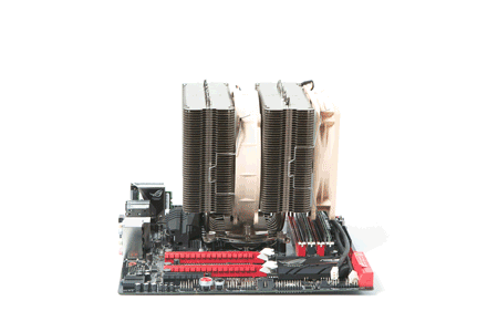 450x300  86 KB. Big one: 1500x1000  787 KB