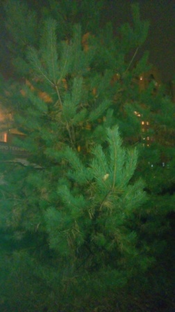 252x448  46 KB. Big one: 2736x4864  5785 KB