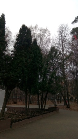 252x448  47 KB. Big one: 2736x4864  3994 KB