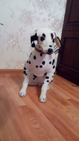 252x448  47 KB. Big one: 2016x3584  1757 KB