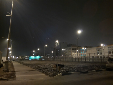 449x337  40 KB. Big one: 3200x2400  2350 KB