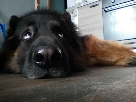 449x337  52 KB. Big one: 1440x1080  456 KB