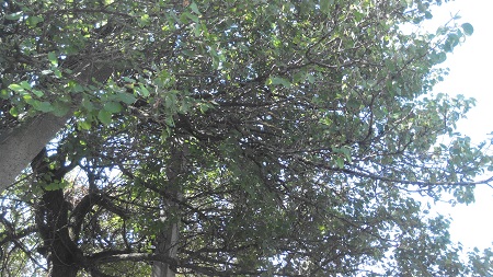 450x253  144 KB. Big one: 4864x2736  2631 KB