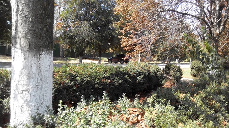 450x253  152 KB. Big one: 4864x2736  2953 KB