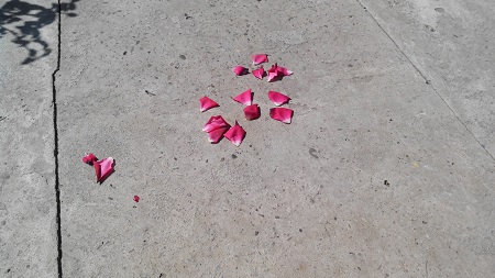 450x253  111 KB. Big one: 4864x2736  2242 KB