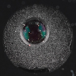 300x300  28 KB. Big one: 1004x1004  358 KB