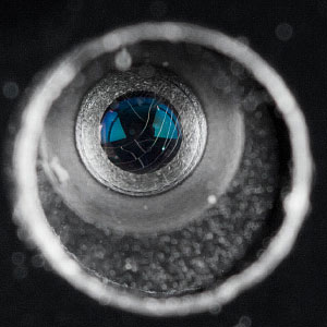 300x300  20 KB. Big one: 772x772  158 KB