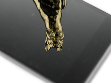 450x338  60 KB. Big one: 1500x1125  465 KB