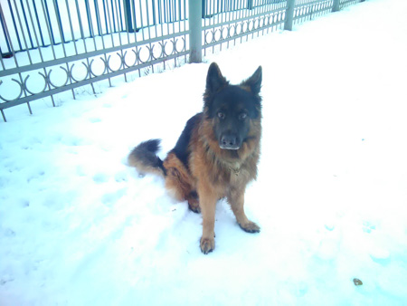 450x338  49 KB. Big one: 3264x2448  857 KB