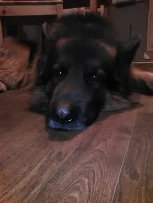 300x399  19 KB. Big one: 1200x1600  369 KB