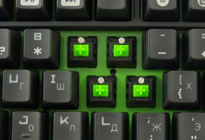 300x205  48 KB. Big one: 900x616  364 KB