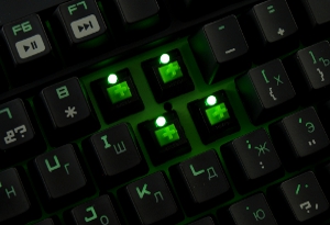 300x205  45 KB. Big one: 1000x668  227 KB