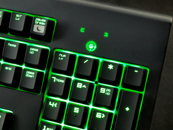 350x263  50 KB. Big one: 900x675  433 KB