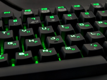 350x263  48 KB. Big one: 800x600  207 KB