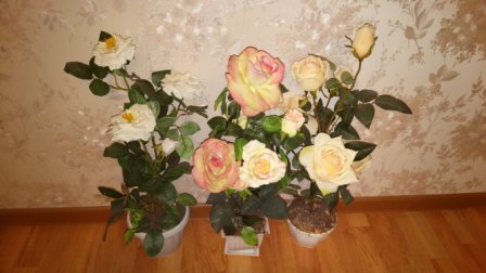 448x252  33 KB. Big one: 5328x3000  2040 KB