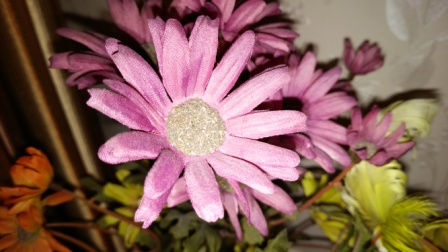 448x252  57 KB. Big one: 5328x3000  4346 KB