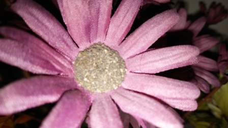 448x252  52 KB. Big one: 5328x3000  3132 KB