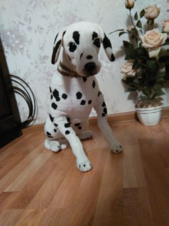 336x448  30 KB. Big one: 1944x2592  614 KB