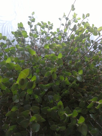 337x450  92 KB. Big one: 2448x3264  1183 KB