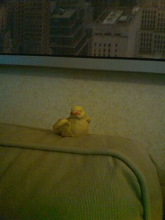 338x450  181 KB. Big one: 1200x1600  326 KB