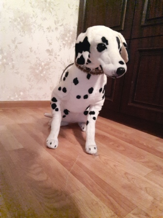 336x448  84 KB. Big one: 1944x2592  1592 KB