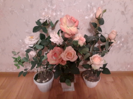 448x336  81 KB. Big one: 5248x3936  6289 KB