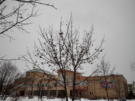 450x338  157 KB. Big one: 3200x2400  4001 KB