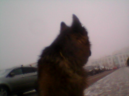 450x338  59 KB. Big one: 640x480  61 KB