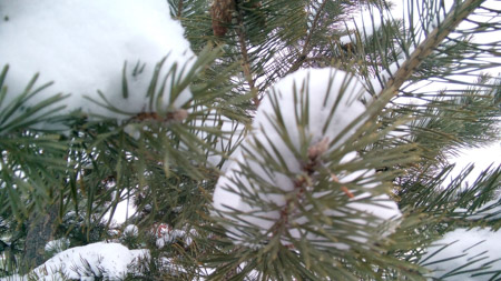 450x253  57 KB. Big one: 3584x2016  1798 KB