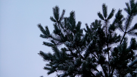 450x253  56 KB. Big one: 3584x2016  1693 KB