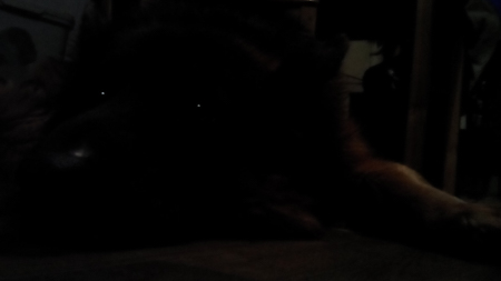 450x253  26 KB. Big one: 1792x1008  92 KB