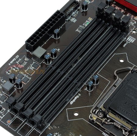 450x447  62 KB. Big one: 1500x1489  435 KB