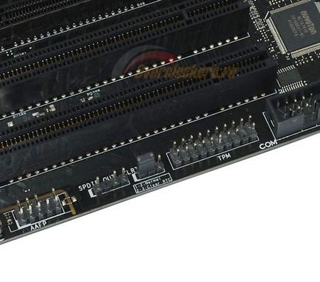 450x397  35 KB. Big one: 605x534  56 KB