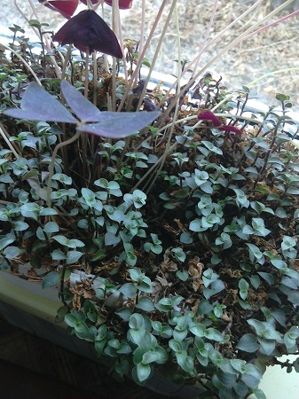 337x450  123 KB. Big one: 2448x3264  1804 KB