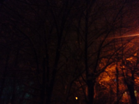 450x337  28 KB. Big one: 4160x3120  2840 KB