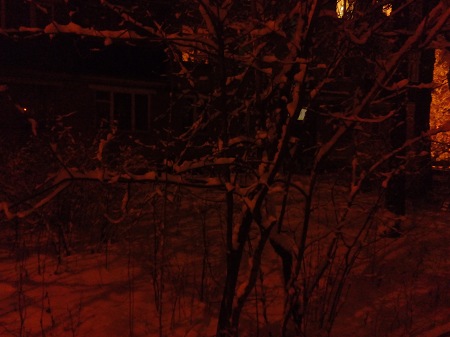 450x337  43 KB. Big one: 4160x3120  2961 KB