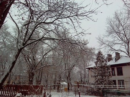 450x337  97 KB. Big one: 4160x3120  6635 KB