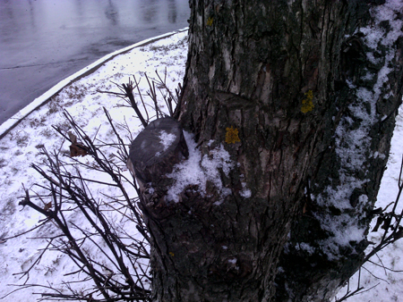 450x338  230 KB. Big one: 2560x1920  1406 KB