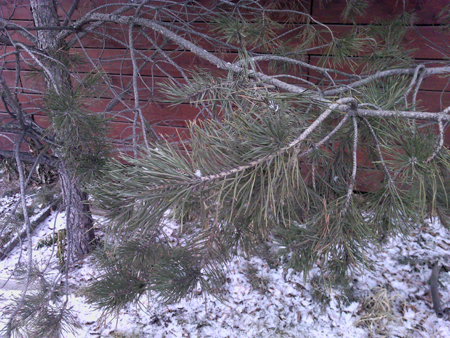 450x338  267 KB. Big one: 2560x1920  1760 KB