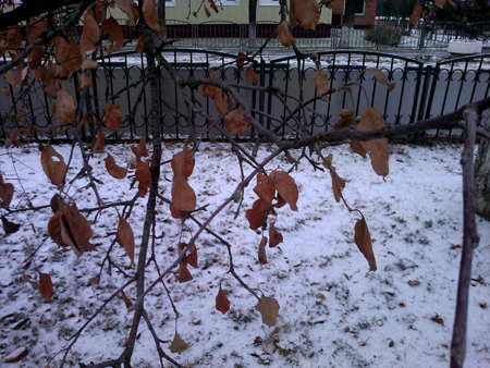 450x338  240 KB. Big one: 2560x1920  1223 KB