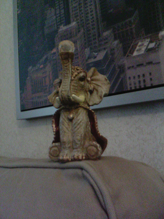 338x450  211 KB. Big one: 1200x1600  453 KB