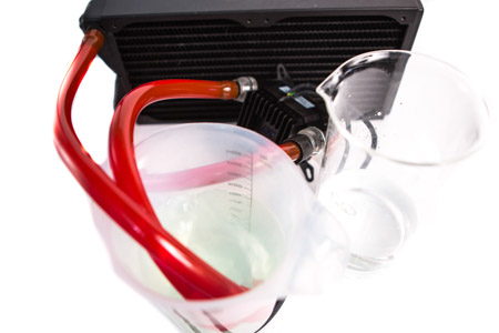 450x300  59 KB. Big one: 1500x1000  242 KB