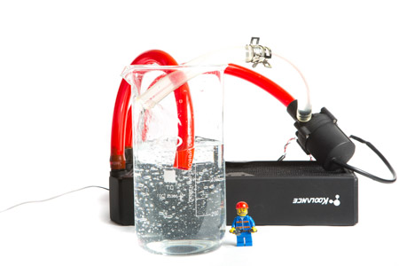 450x300  59 KB. Big one: 1500x1000  253 KB