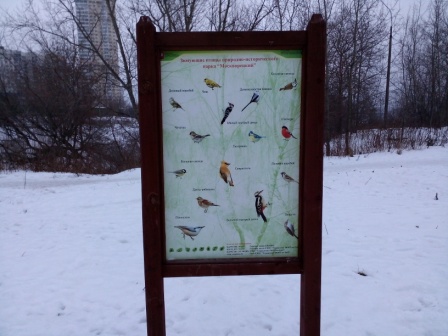 448x336  65 KB. Big one: 3264x2448  2471 KB