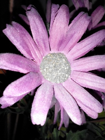 336x448  77 KB. Big one: 2448x3264  2344 KB