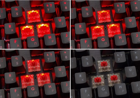 450x316  50 KB. Big one: 1500x1053  486 KB