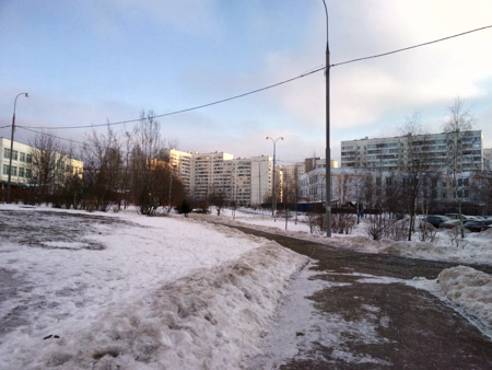 450x338  49 KB. Big one: 4608x3456  2640 KB